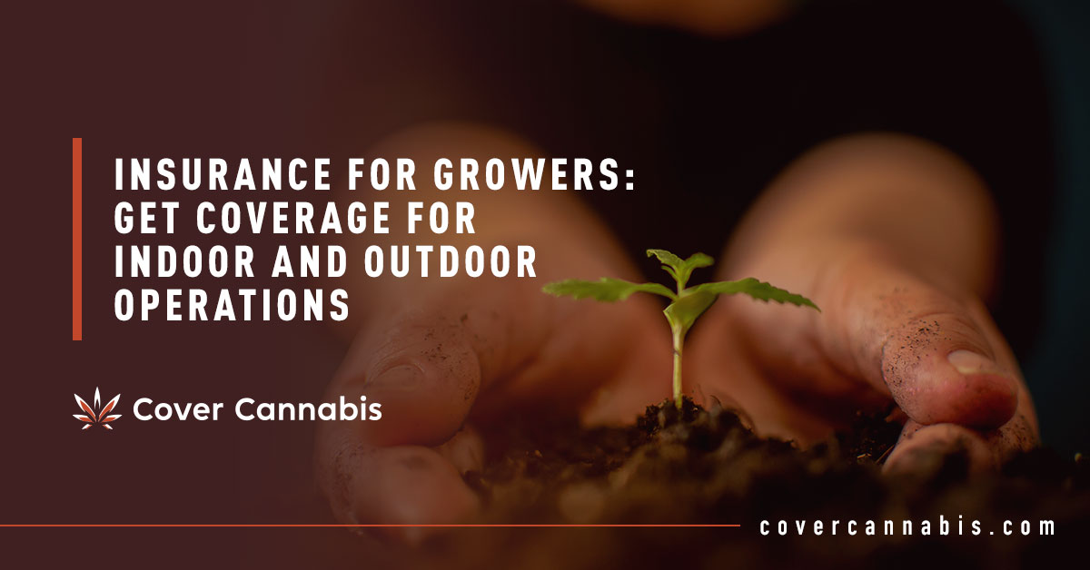 Hand Holding Cannabis Plant - Banner Image for Insurance for Growers: Get Coverage for Indoor and Outdoor Operations Blog