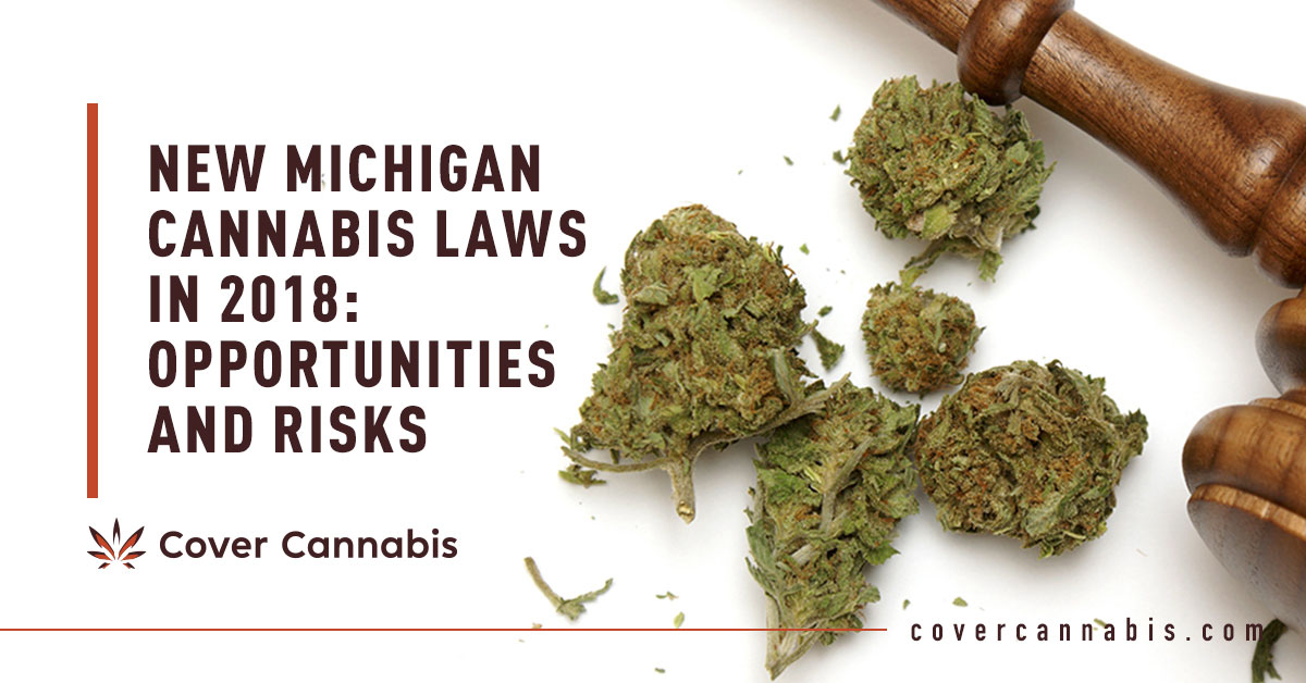 Cannabis Buds - Banner Image for New Michigan Cannabis Laws in 2018 Opportunities and Risks Blog