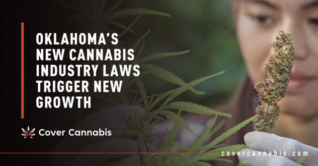 Man Holding Cannabis Leaf - Banner Image for Oklahoma’s New Cannabis Industry Laws Trigger New Growth Blog