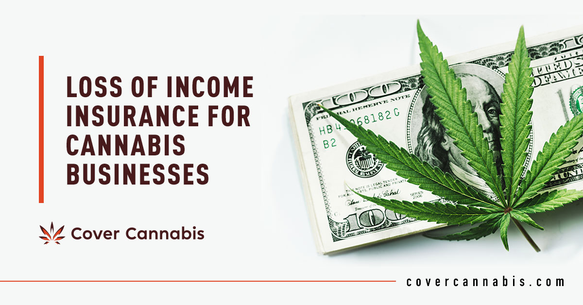 Cannabis and Money - Banner Image for Loss of Income Insurance for Cannabis Businesses blog