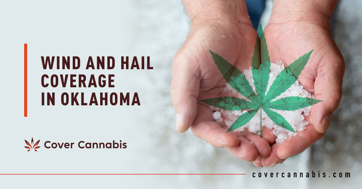 Wind and Hail Cannabis Insurance - Banner Image for Wind and Hail Coverage in Oklahoma Blog