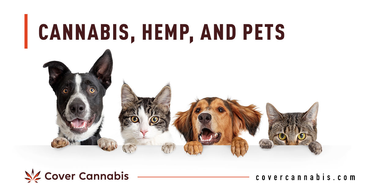 Pets - Banner Image for Cannabis, Hemp, and Pets Blog