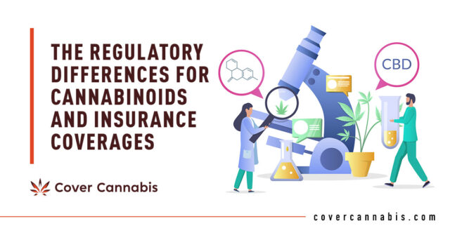 Cannabis Study Illustration - Banner Image for The Regulatory Differences for Cannabinoids and Insurance Coverages Blog