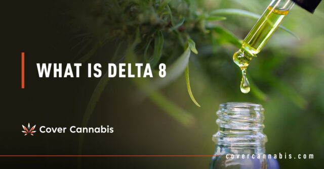 Cannabis Liquid and Bottle - Banner Image for What is Delta 8 Blog