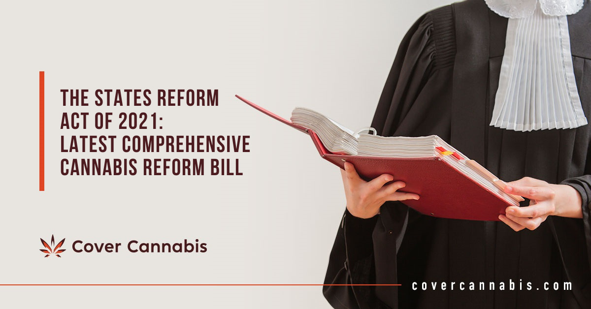 Lawyer Holding a Book - Banner Image for The States Reform Act of 2021: Latest Comprehensive Cannabis Reform Bill