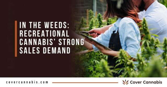 In the Weeds Recreational Cannabis’ Strong Sales Demand