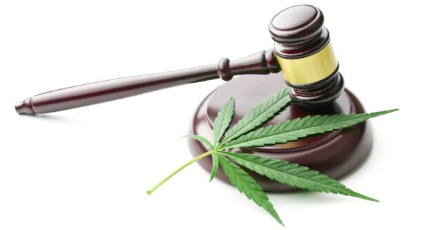 Where Is Marijuana Legal? A Guide to Marijuana Legalization