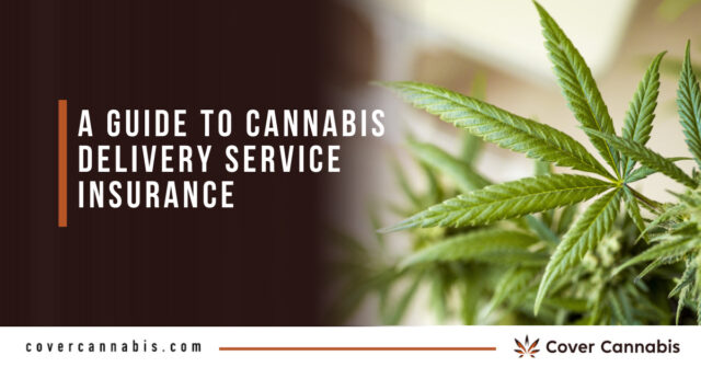 A Guide to Cannabis Delivery Service Insurance