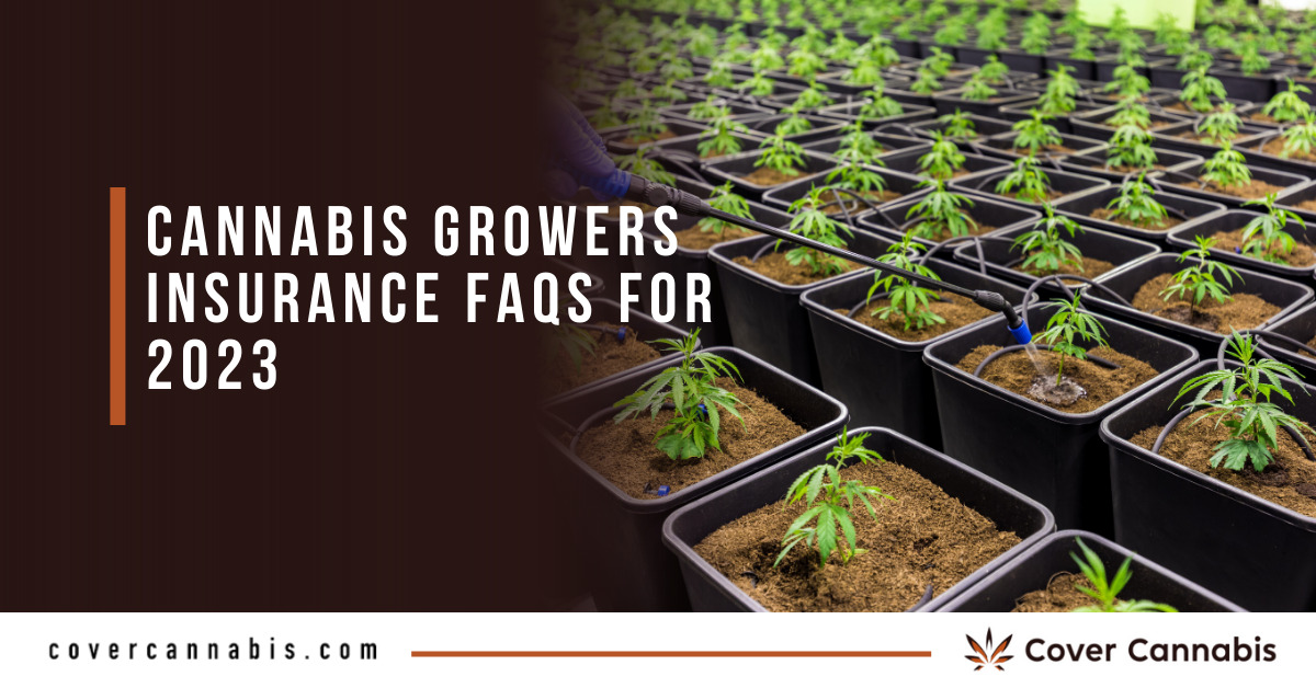 Cannabis Growers Insurance FAQs For 2023 