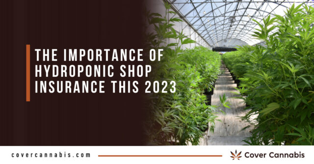 The Importance of Hydroponic Shop Insurance this 2023