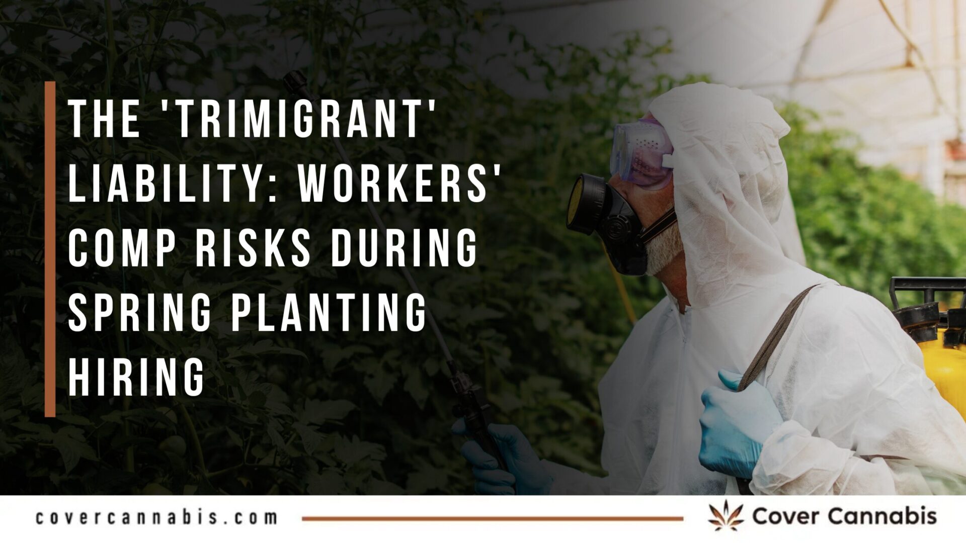 Cannabis Spring Planting: Workers’ Comp & Seasonal Labor Risks