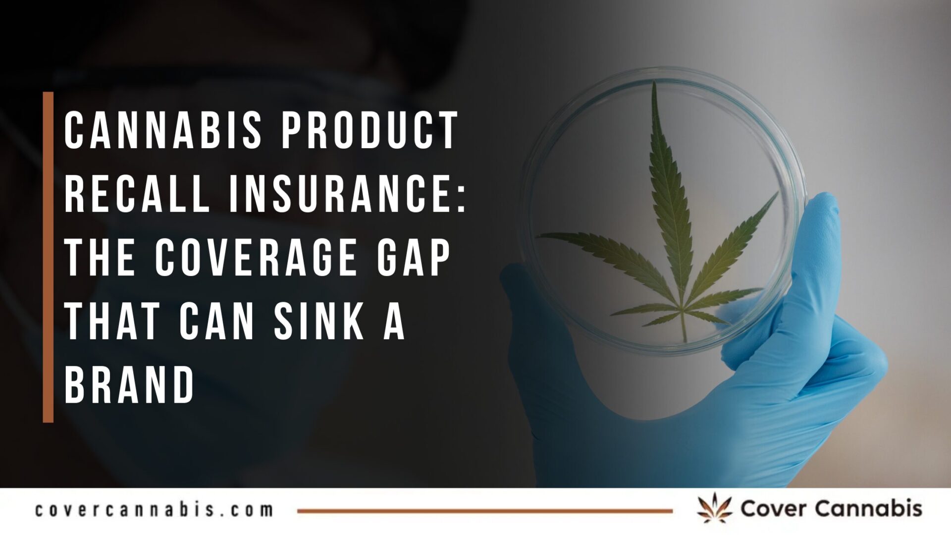 Cannabis Product Recall Insurance The Coverage Gap That Can Sink a Brand